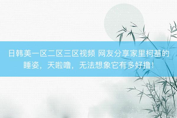 日韩美一区二区三区视频 网友分享家里柯基的睡姿，天啦噜，无法想象它有多好撸！