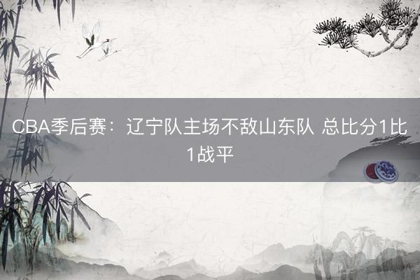 CBA季后赛：辽宁队主场不敌山东队 总比分1比1战平