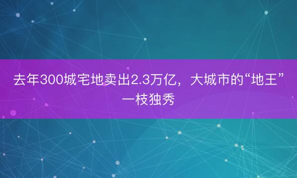 去年300城宅地卖出2.3万亿,大城市的“地王”一枝独秀