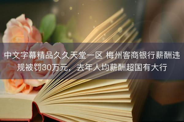 中文字幕精品久久天堂一区 梅州客商银行薪酬违规被罚30万元，去年人均薪酬超国有大行