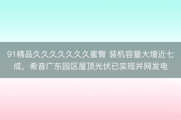 91精品久久久久久久久蜜臀 装机容量大增近七成，希音广东园区屋顶光伏已实现并网发电