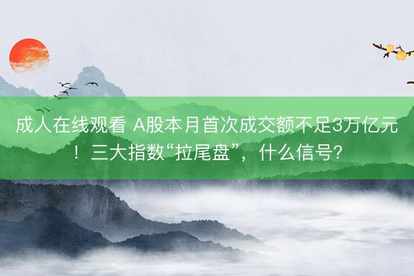 成人在线观看 A股本月首次成交额不足3万亿元！三大指数“拉尾盘”，什么信号？