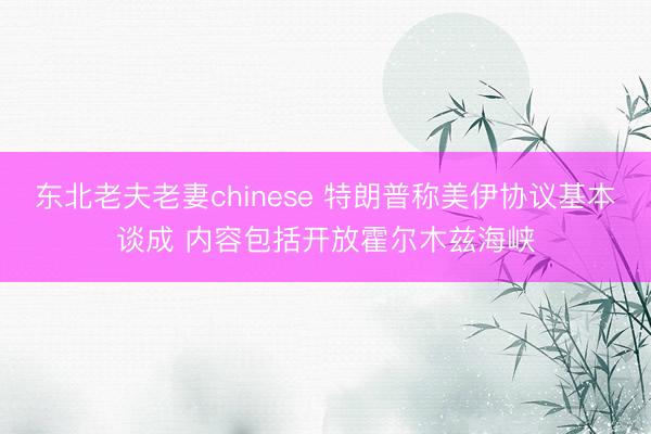 东北老夫老妻chinese 特朗普称美伊协议基本谈成 内容包括开放霍尔木兹海峡