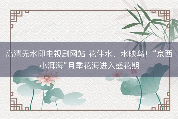 高清无水印电视剧网站 花伴水、水映鸟！“京西小洱海”月季花海进入盛花期