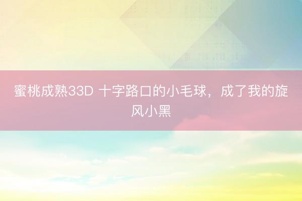 蜜桃成熟33D 十字路口的小毛球，成了我的旋风小黑