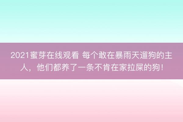 2021蜜芽在线观看 每个敢在暴雨天遛狗的主人，他们都养了一条不肯在家拉屎的狗！