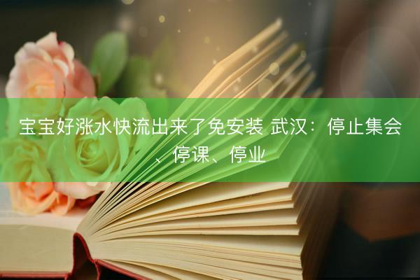 宝宝好涨水快流出来了免安装 武汉：停止集会、停课、停业