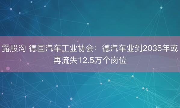 露股沟 德国汽车工业协会:德汽车业到2035年或再流失12.5万个岗位