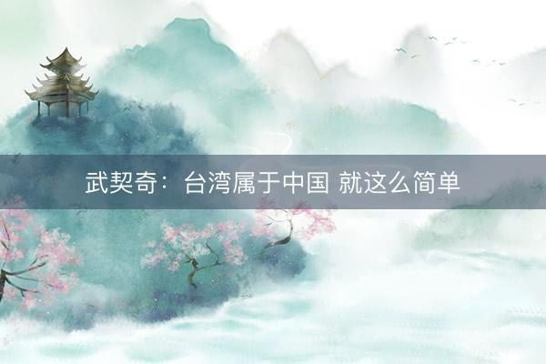 武契奇：台湾属于中国 就这么简单