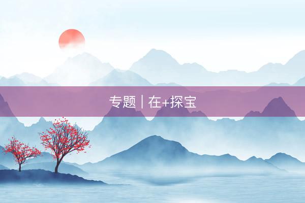 专题 | 在+探宝