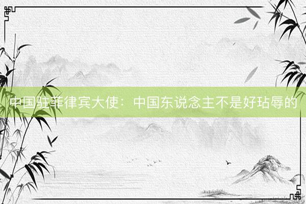 中国驻菲律宾大使：中国东说念主不是好玷辱的