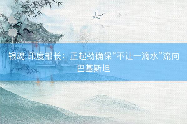 银魂 印度部长：正起劲确保“不让一滴水”流向巴基斯坦
