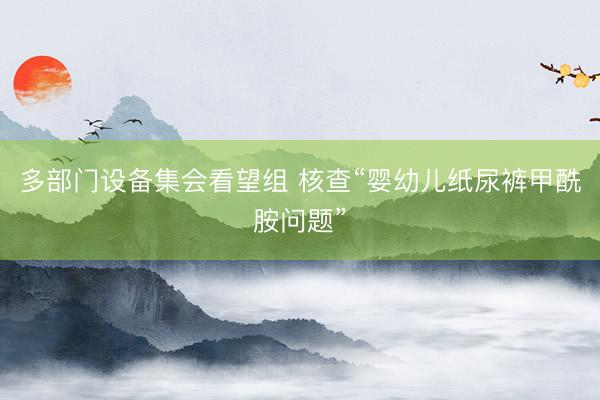 多部门设备集会看望组 核查“婴幼儿纸尿裤甲酰胺问题”